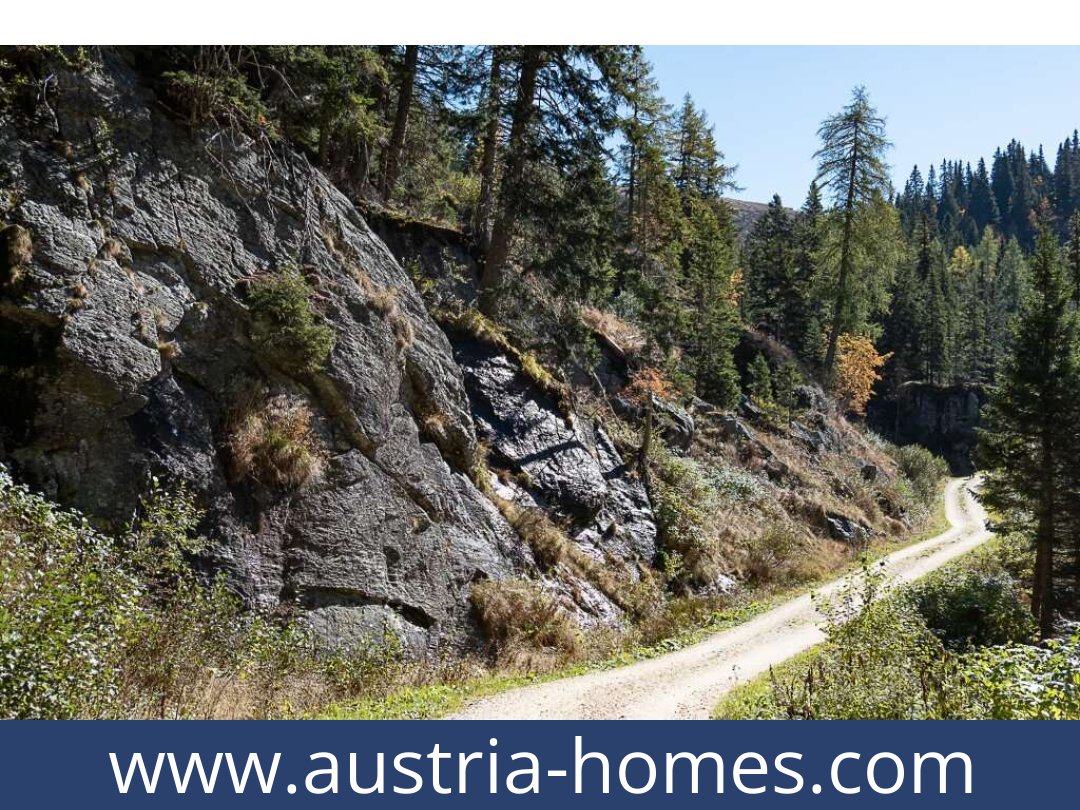 austria-homes-st. gertraud-9413-20251011121925-0034901019.jpg austria-homes-st. gertraud-9413-20251011121925-0034901019.jpg